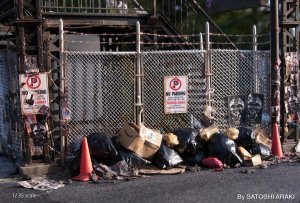 977475_483263221744771_1317952009_o